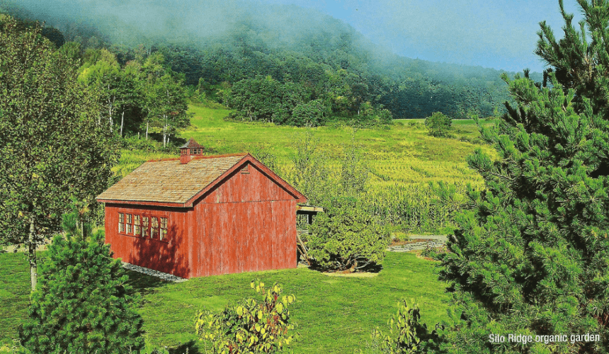 A red barn sitting in the middle of a green field.